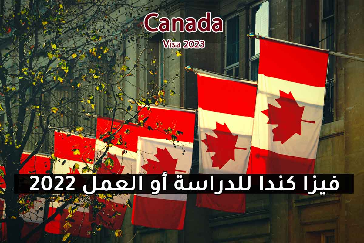 Read more about the article فيزا كندا للدراسة والعمل 2022
