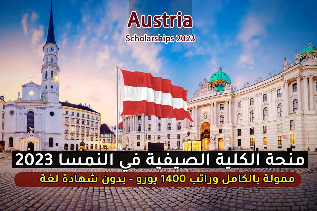 Read more about the article منحة الكلية الصيفية في النمسا 2023