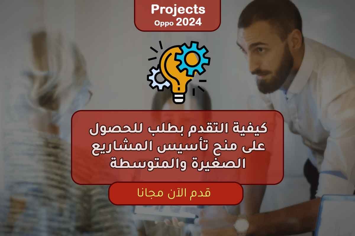 كيفية التقدم بطلب للحصول على منح تأسيس المشاريع الصغيرة والمتوسطة
