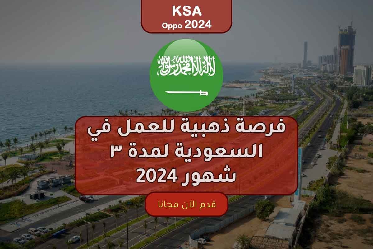 فرصة ذهبية للعمل في السعودية لمدة ٣ شهور 2024