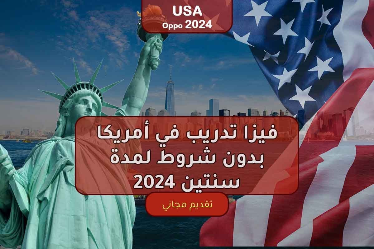 Read more about the article فيزا تدريب في أمريكا بدون شروط لمدة سنتين 2024