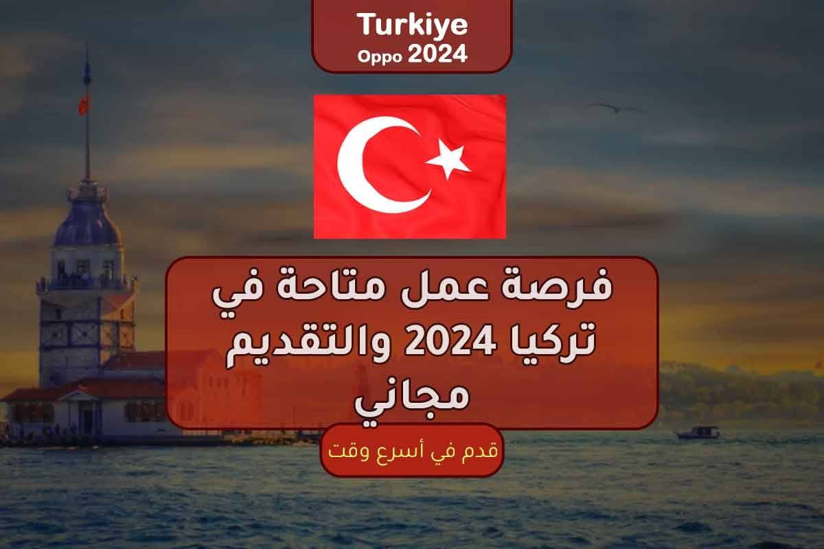 Read more about the article فرصة عمل متاحة في تركيا 2024 والتقديم مجاني