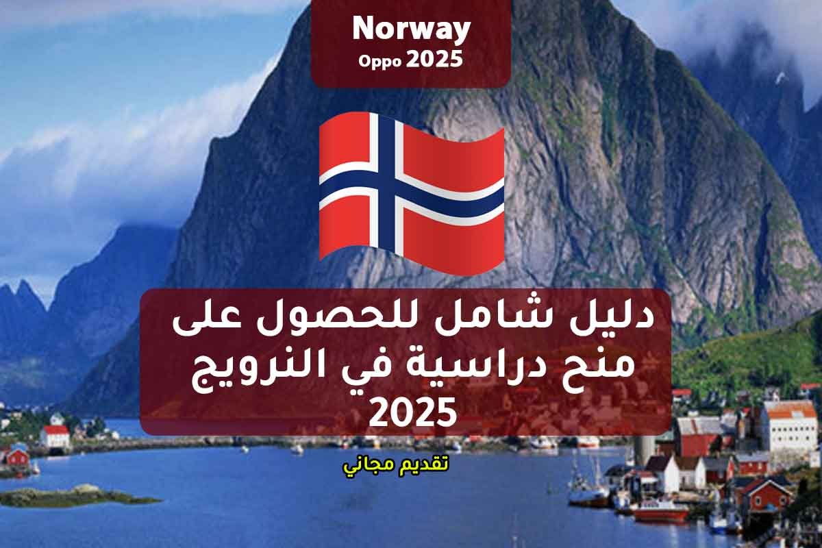 Read more about the article دليل شامل للحصول على منح دراسية في النرويج 2025